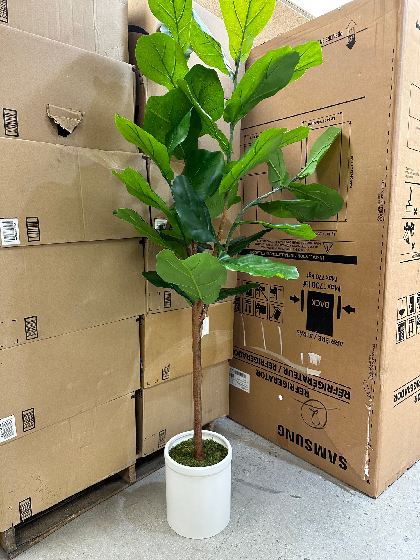 Target Fiddle Leaf Faux Tree